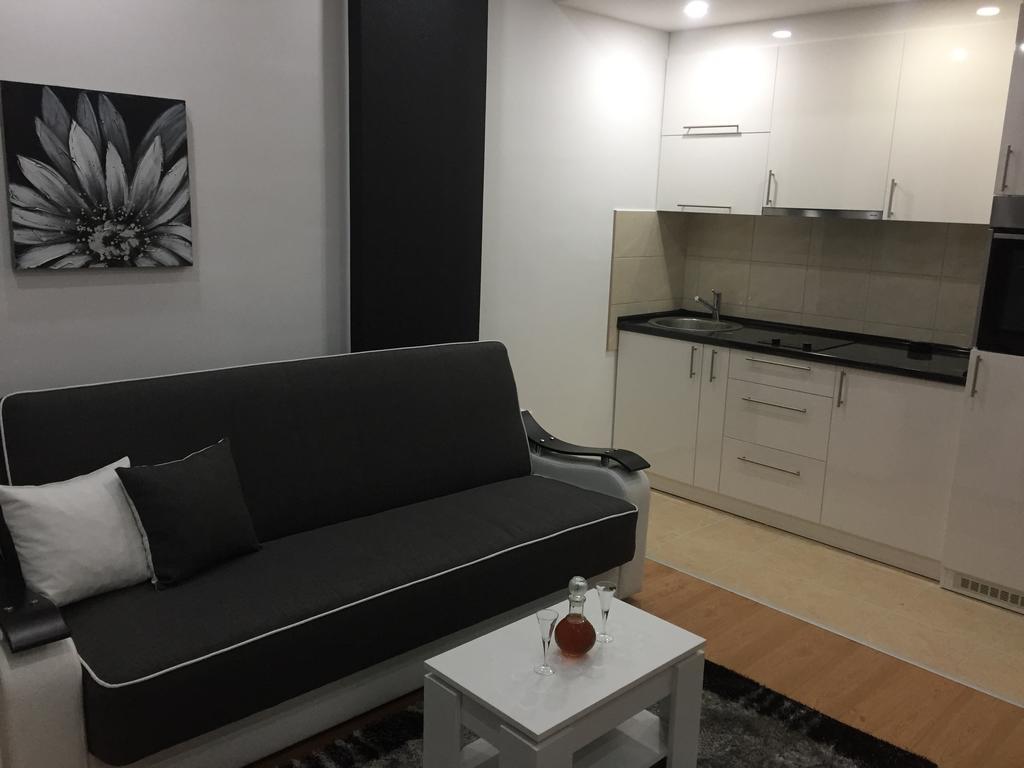 Apartman Jezdic Apartment Banja Koviljaca Ngoại thất bức ảnh